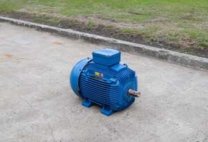 Electric Motor - 415V 45kW - WEG W21