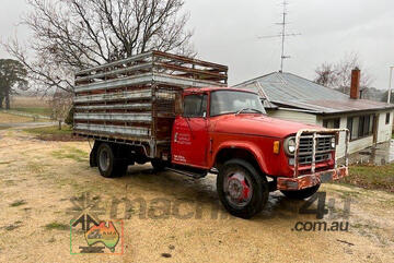 (10144) Solid Steel 2x1 Stock Crate 4.32m (Warrandyte, VIC)
