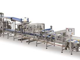 SYR3 ROTO - Machine for Gluten Free Products - picture0' - Click to enlarge