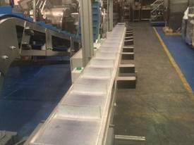 Indexing Cleated Belt Conveyor - picture0' - Click to enlarge