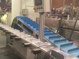 Indexing Cleated Belt Conveyor - picture0' - Click to enlarge