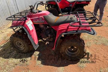 Yamaha   Bear Tracker