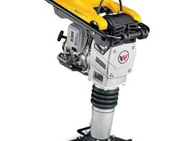 New Wacker Neuson BS50-4A Rammer - picture0' - Click to enlarge