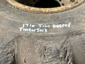 Logging Forwarder Tyre & Rim - picture0' - Click to enlarge