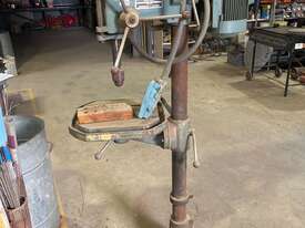Trent Pedestal Drill  - picture1' - Click to enlarge
