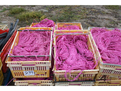 Trellis Twine Pink