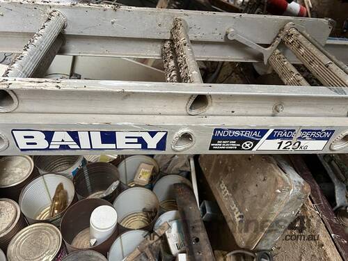 BAILEY 120KG Rated Ladder