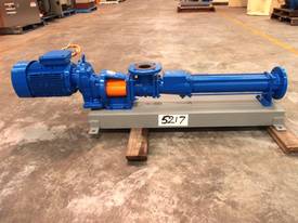 Helical Rotor Pump - In/Out: 65mm. - picture0' - Click to enlarge