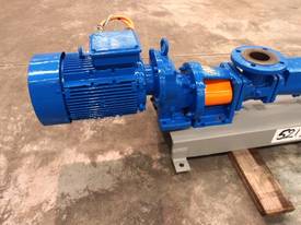 Helical Rotor Pump - In/Out: 65mm. - picture1' - Click to enlarge
