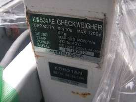 Checkweigher/Metal Detector Combination Unit with Reject - picture0' - Click to enlarge