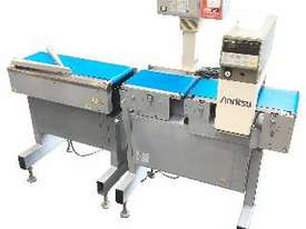 Checkweigher/Metal Detector Combination Unit with Reject - picture1' - Click to enlarge