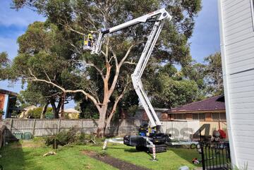   Monitor 2210 Evo ED - 22m Spider Lift | 230kg MRC | 10.3m Horizontal Outreach