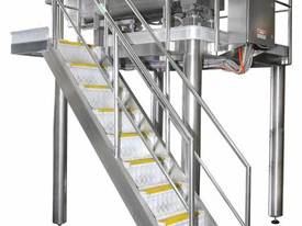 Fresh Pasta Mixing System (skid mounted on platfor - picture0' - Click to enlarge