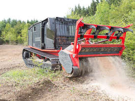 Raptor 300 Forestry Mulcher - picture0' - Click to enlarge