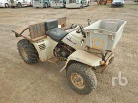 YAMAHA PRO HAULER Quad - picture0' - Click to enlarge