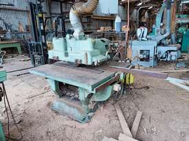Straight Line Ripping Saw - picture2' - Click to enlarge