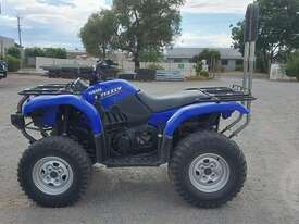 Yamaha Grizzly - picture2' - Click to enlarge