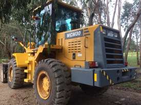 2007 Wheel Loader  - picture1' - Click to enlarge