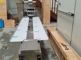 Pillow Packaging machine - picture2' - Click to enlarge