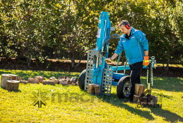 Bushranger LS252 25 Ton Log Splitter