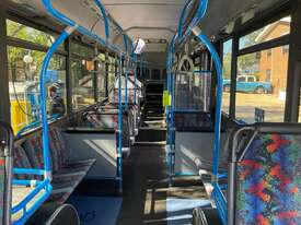 Mercedes Benz Bus - picture2' - Click to enlarge