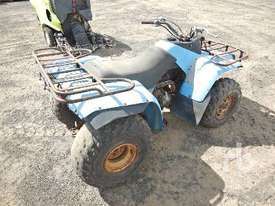 YAMAHA MOTO4 250 Quad - picture2' - Click to enlarge