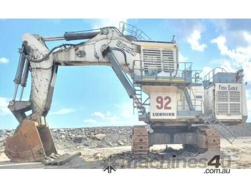 Liebherr R9250 Excavator