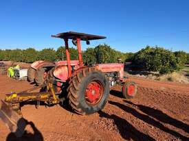 Massey Ferguson 65 - picture1' - Click to enlarge