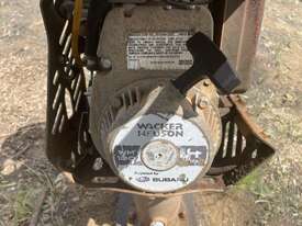 Wacker Nueson BS60-4 Rammer - picture0' - Click to enlarge