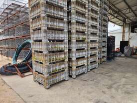 Stackable Poly Bins x 50 - picture0' - Click to enlarge