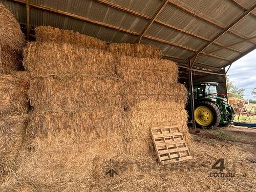 50 BALES OATEN HAY