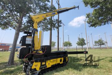 Pick and Carry Crane