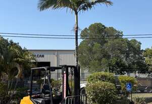 UN FD35T 2022 3.5T Diesel Counterbalance Forklift - 3,500kg Capacity, 3m Lift Height