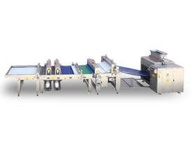 Six Lanes Dough Divider & Rounding Machine w/ Traying System - picture2' - Click to enlarge