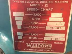 Waldown NH Supersensitive Drill - picture1' - Click to enlarge