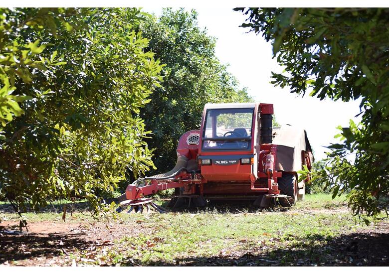 New 2019 AMB X16 Nut Harvesters in , - Listed on Machines4u