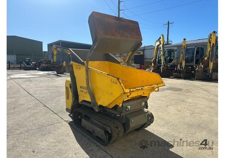 Wacker Neuson DT08 Dumper image 3