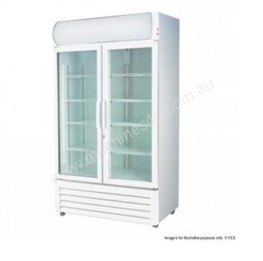 LG-1000GE Large Two Glass Door Colourbond Upright 