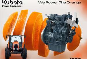 Kubota D905   REPOWER ENGINE