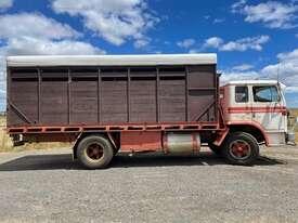1983 International ACCO 1730C cattle truck - picture1' - Click to enlarge
