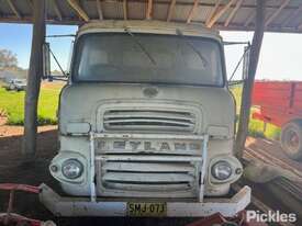 1967 Leyland Rigid Single Cab - picture0' - Click to enlarge