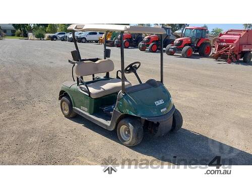 Custom Ezgo RXV Fleet Electric