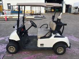 2019 Ezgo RxV Golf Cart - picture2' - Click to enlarge