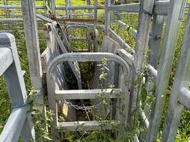 Arrow Farmquip Calf Cradle #2 - picture2' - Click to enlarge