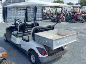 Yamaha YDREX2 4 Seat - picture1' - Click to enlarge