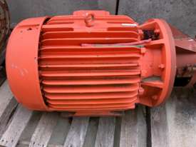 75 kw 100 hp 2 pole 415 v Pope AC Electric Motor - picture2' - Click to enlarge