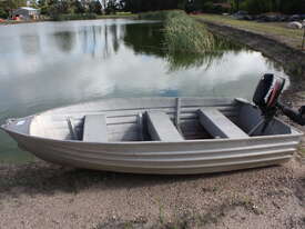 Tinny with 5HP Mercury and trailer - picture0' - Click to enlarge