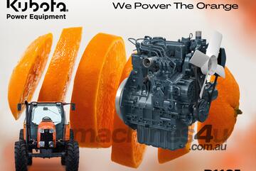 Kubota D1105   REPOWER ENGINE