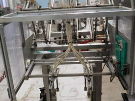 Fruit Tray Packing Line - picture2' - Click to enlarge