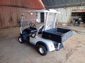 Greenman ST20M Golf Cart - picture1' - Click to enlarge